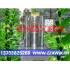 小磨香油是以芝麻為原料制作生產(chǎn)出來的食用油的一種-香油機(jī)