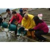 棲霞旅游,煙臺(tái)景區(qū)旅游
