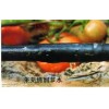 延長大棚微噴壽命的保養(yǎng)措施